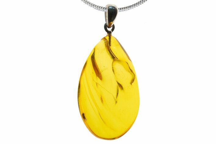 Polished Baltic Amber Pendant (Necklace) - Contains Fly! #339464